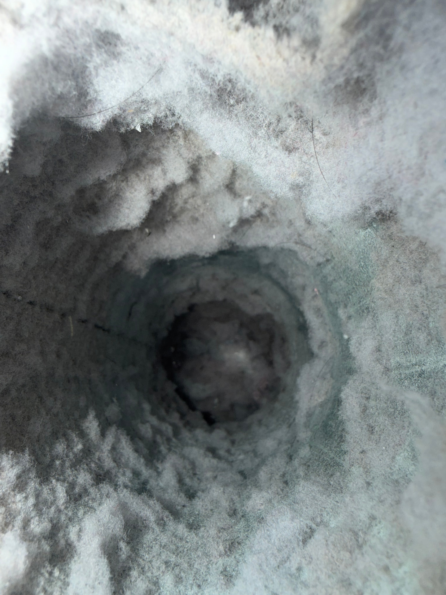 Dryer Vent Cleaning before cleaning